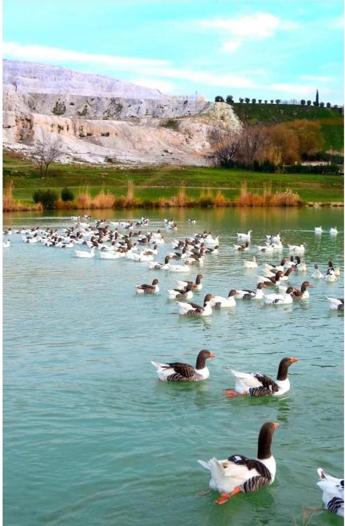 Akapella Hotel Pamukkale Exterior photo